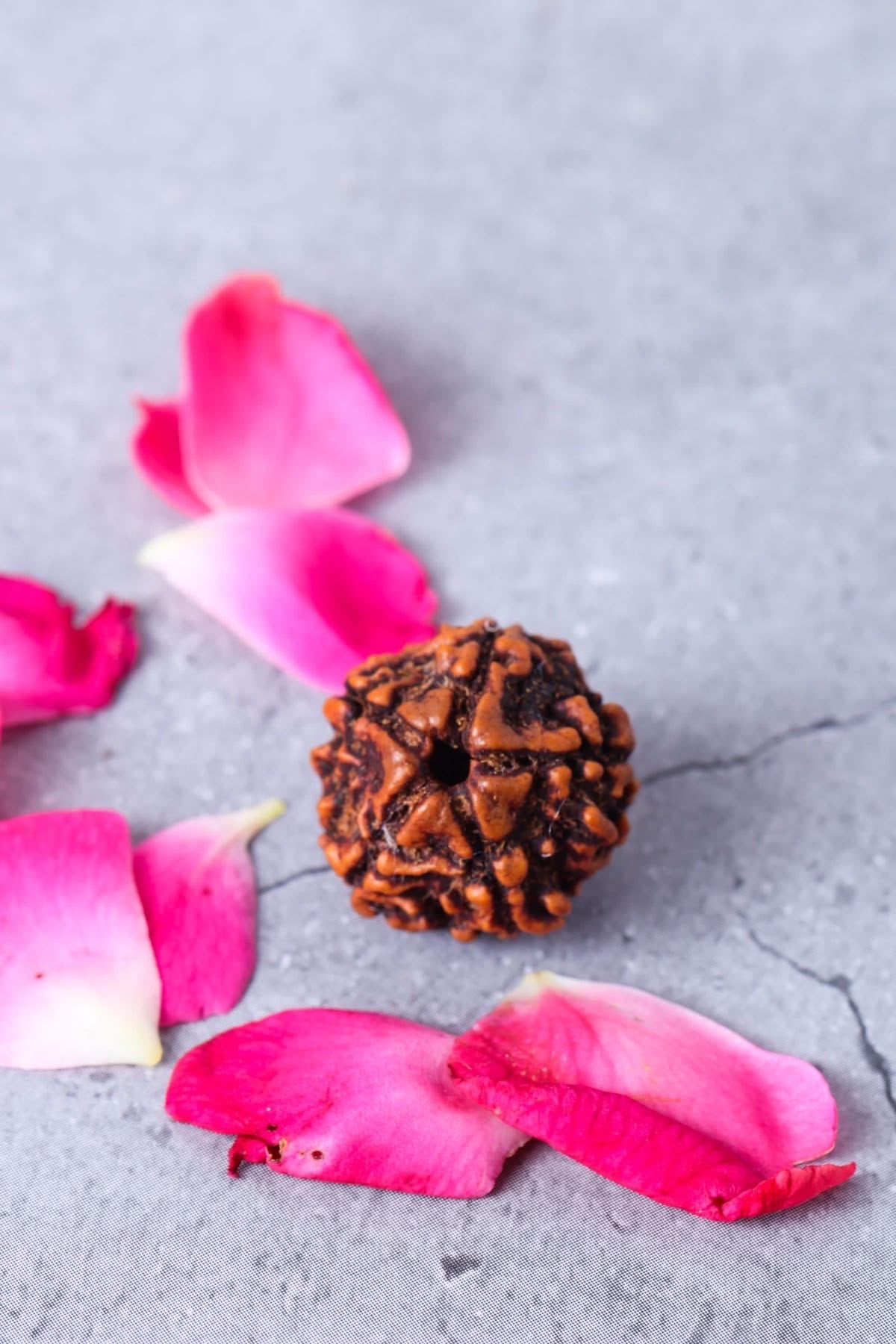 RUDRAKSHA