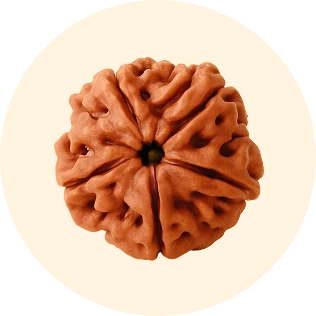 RUDRAKSHA